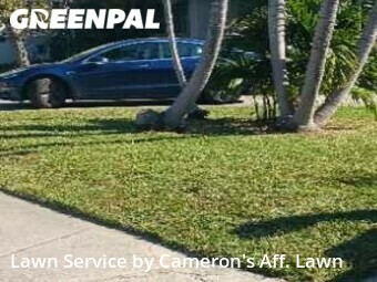 Lawn Mowing Service nearby Hollywood, FL, 