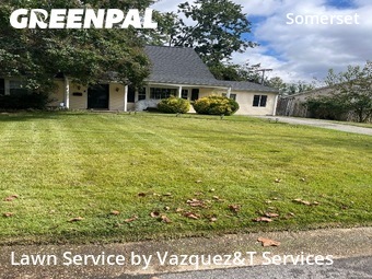 Yard Management in Bowie, 20715, Yard Upkeep by Vazquez&T Services, work completed in Nov , 2025