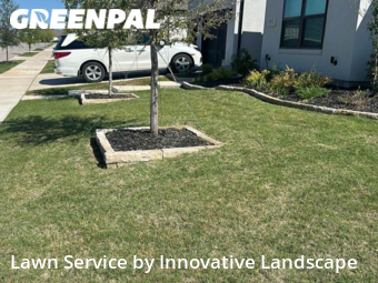 Lawn Mow nearby Prosper, TX, 