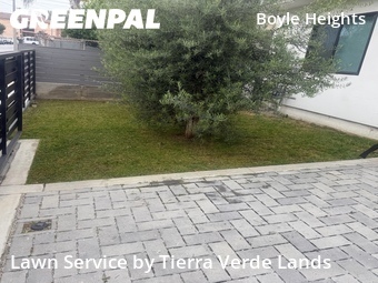 Work completed by cheap-lawn-cutting-businesses-in in Los Angeles, CA