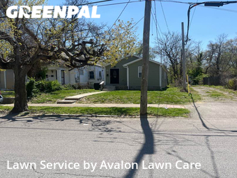 Grass Cut nearby Louisville, KY, 