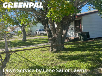 Lawn Mow nearby Corpus Christi, TX, 