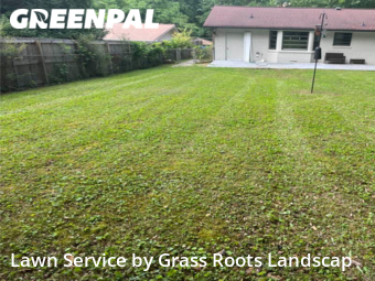 Grass Cutting nearby Chamblee, GA, 