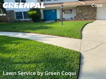 Lawn Cut nearby Tampa, FL, 