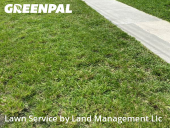 Lawn Upkeep in Tamarac, 33321, Yard Upkeep by Land Management Llc, work completed in Nov , 2025