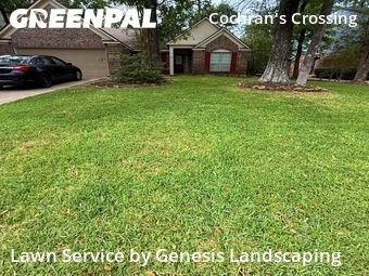 Grass Cut nearby Spring, TX, 