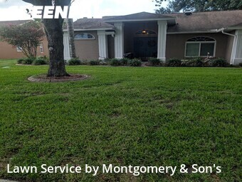 Lawn Care Service nearby Lakeland, FL, 