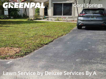 Backyard Mowing in Coral Springs, 33065, Turf Services by Deluxe Services By A, work completed in Nov , 2025