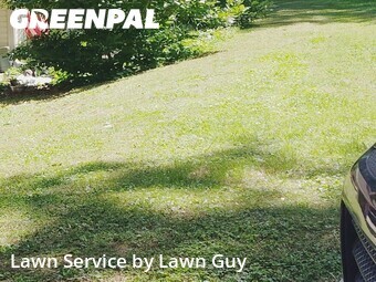 Lawn Mowing nearby Buford, GA, 