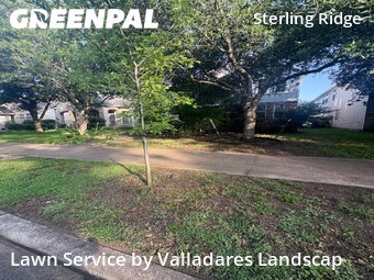 Lawn Maintenancein The Woodlands,77382,Lawn Mow by Valladares Landscap, work completed in Oct , 2025