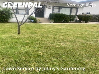 Lawn mowed in Glendale, 91202