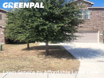 Lawn Mowing Servicein New Braunfels,78130,Lawn Maintenance by Affordable Lawn Care, work completed in Dec , 2025
