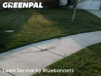 Lawn Care Service nearby Pflugerville, TX, 