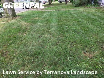 Lawn Cuttingin Elgin,60120,Lawn Service by Terranova Landscape, work completed in Jan , 2026