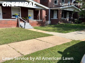 Yard Cutting nearby St. Louis, MO, 