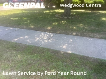 Lawn Mowing nearby Fort Worth, TX, 