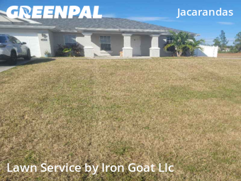 Yard Management in Cape Coral, 33909, Lawn Mowing by Iron Goat Llc, work completed in Nov , 2025