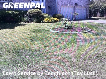 Yard Mowingin Smyrna,30080,Lawn Cut by Teaghlach (Tay Luck), work completed in Jun , 2026