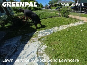 Lawn Maintenance nearby St. Louis, IL, 