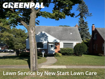 Grass Cut nearby Dearborn, MI, 