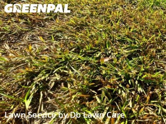 Lawn Mowing nearby Yukon, OK, 