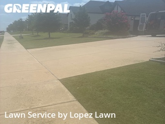 Yard Cutting nearby Prosper, TX, 