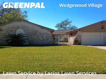 Yard Cuttingin Friendswood,77546,Lawn Cut by Larios Lawn Services, work completed in Jan , 2026