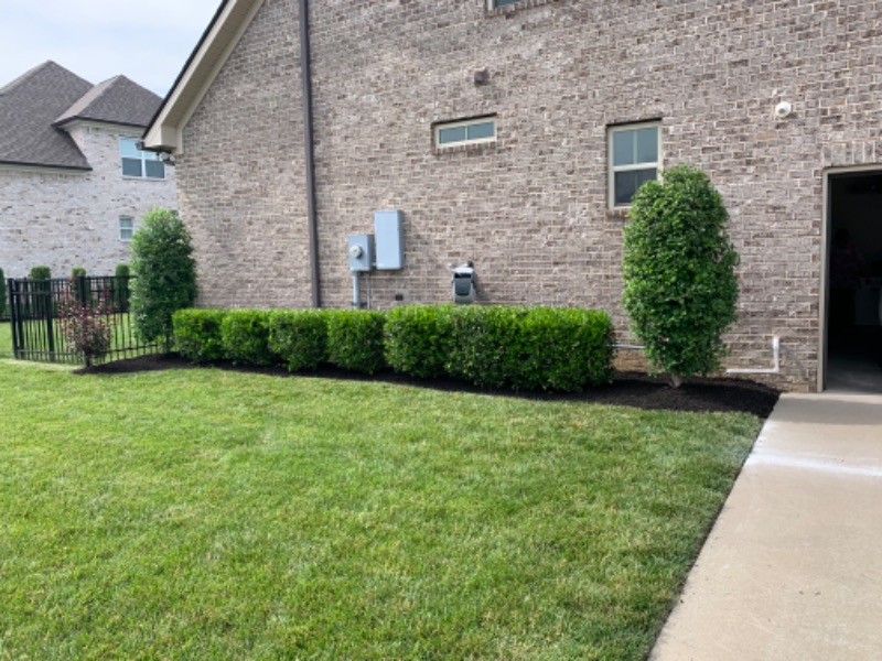 Treestar Landscaping Lawn Care Services in Spring Hill, TN