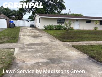 Grass Services in West Palm Beach, 33417, Grass Care by Madissons Green, work completed in Nov , 2025