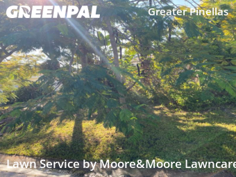 Lawn Care nearby St. Petersburg, FL, 