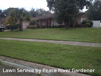 Lawn Mowing nearby Brandon, FL, 