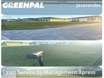 Yard Mowing nearby Cape Coral, FL, 