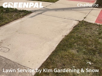 Lawn mowed in Detroit, 48238