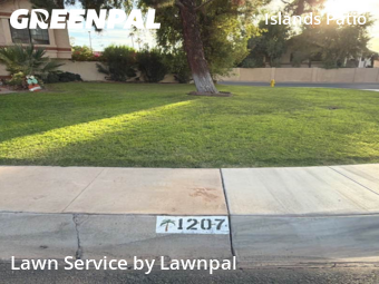 Grass Cutting nearby Gilbert, AZ, 