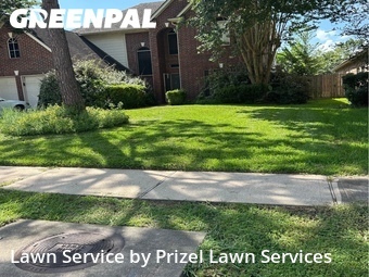 Lawn Cut nearby Pearland, TX, 