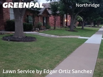 Landscaper In Frisco,75034,Landscaping by Edgar Ortiz Sanchez, work completed in Jun , 2026