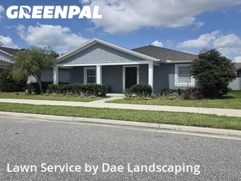 Lawn Cut nearby Winter Garden, FL, 
