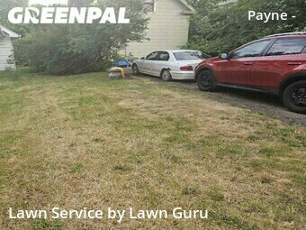 Lawn Mow nearby Saint Paul, MN, 