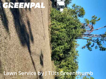 Lawn mowed in Port Charlotte, 33948