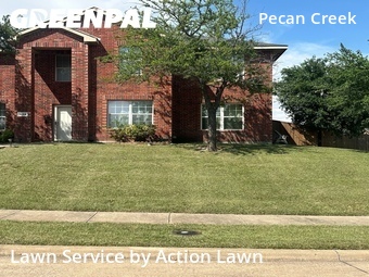Affordable Landscaping In Mesquite,75181,Landscaping by Action Lawn, work completed in Jun , 2026