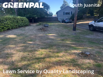 Yard Care in Kirkland, 98033, Turf Services by Quality Landscaping, work completed in Oct , 2025