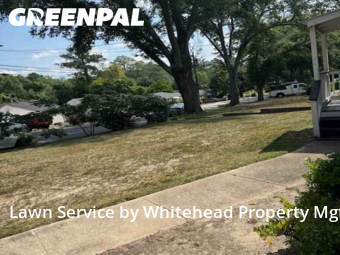 Yard Cutting nearby Columbus, GA, 