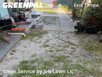 Lawn Mow nearby Tampa, FL, 