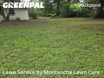 Landscape Design In Gainesville,32601,Landscaping Cleanup by Monteocha Lawn Care , work completed in Jul , 2026