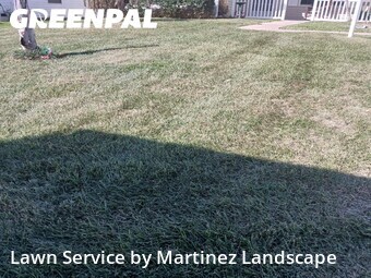 Lawn mowed in The Villages, 32159