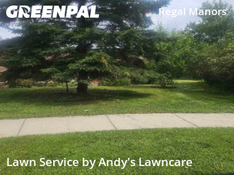 Work completed by grass-cutting-businesses-in-Apple Valley-CA