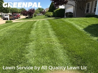 Grass Cut nearby St. Peters, MO, 