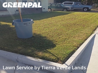 Lawn Cut nearby Huntington Park, CA, 