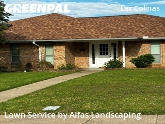 Yard Mowing nearby Irving, TX, 