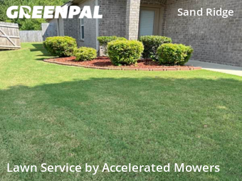 Grass Cut nearby Birmingham, AL, 